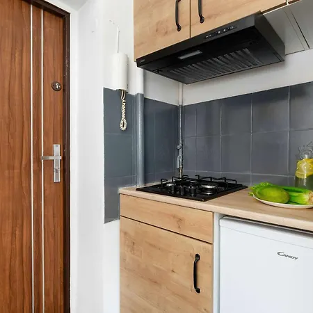 Comfortable Pet-friendly With A Desk By Renters * Gdynia